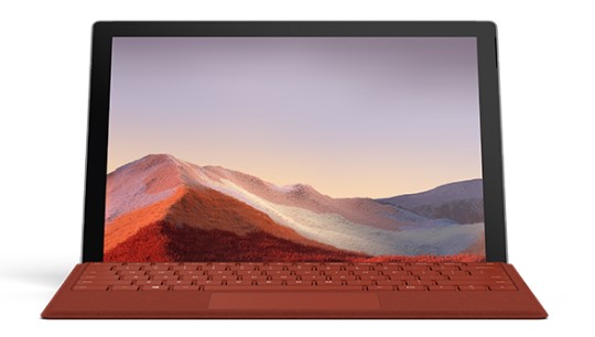 新兴镇清洁和维护 Surface